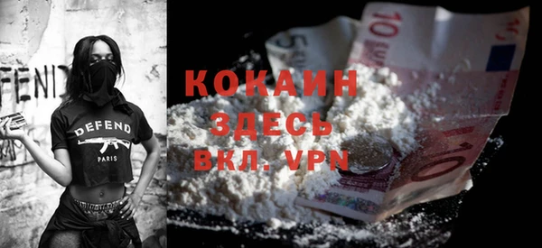 ешки Арсеньев