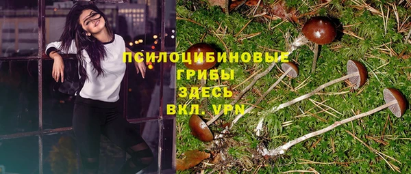 ешки Арсеньев