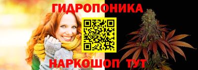 стафф Краснодар