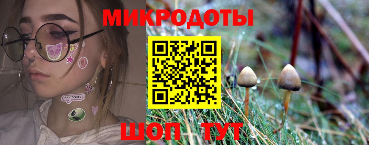 Псилоцибиновые грибы Psilocybine cubensis Качканар